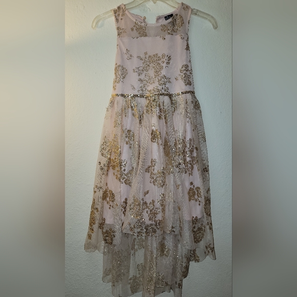 Elegant Pink and Gold Gown - Picture 1 of 6